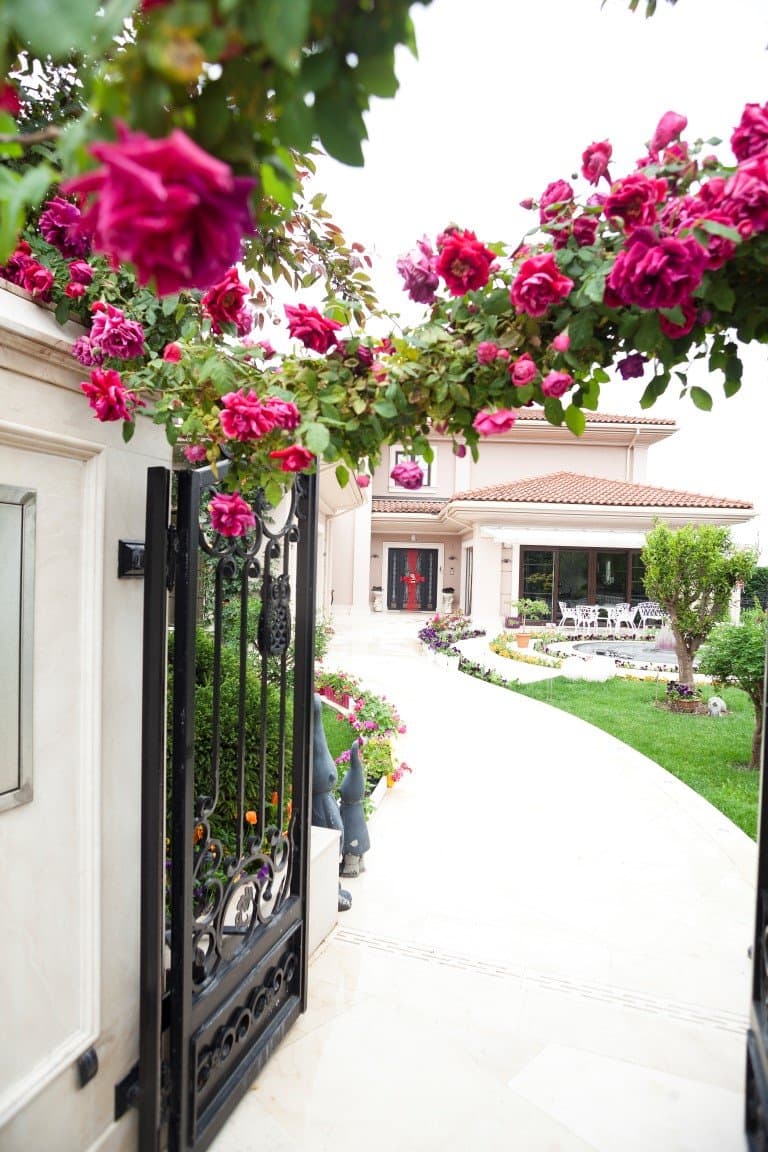 Pelikan Hill Malikane - Görsel 1