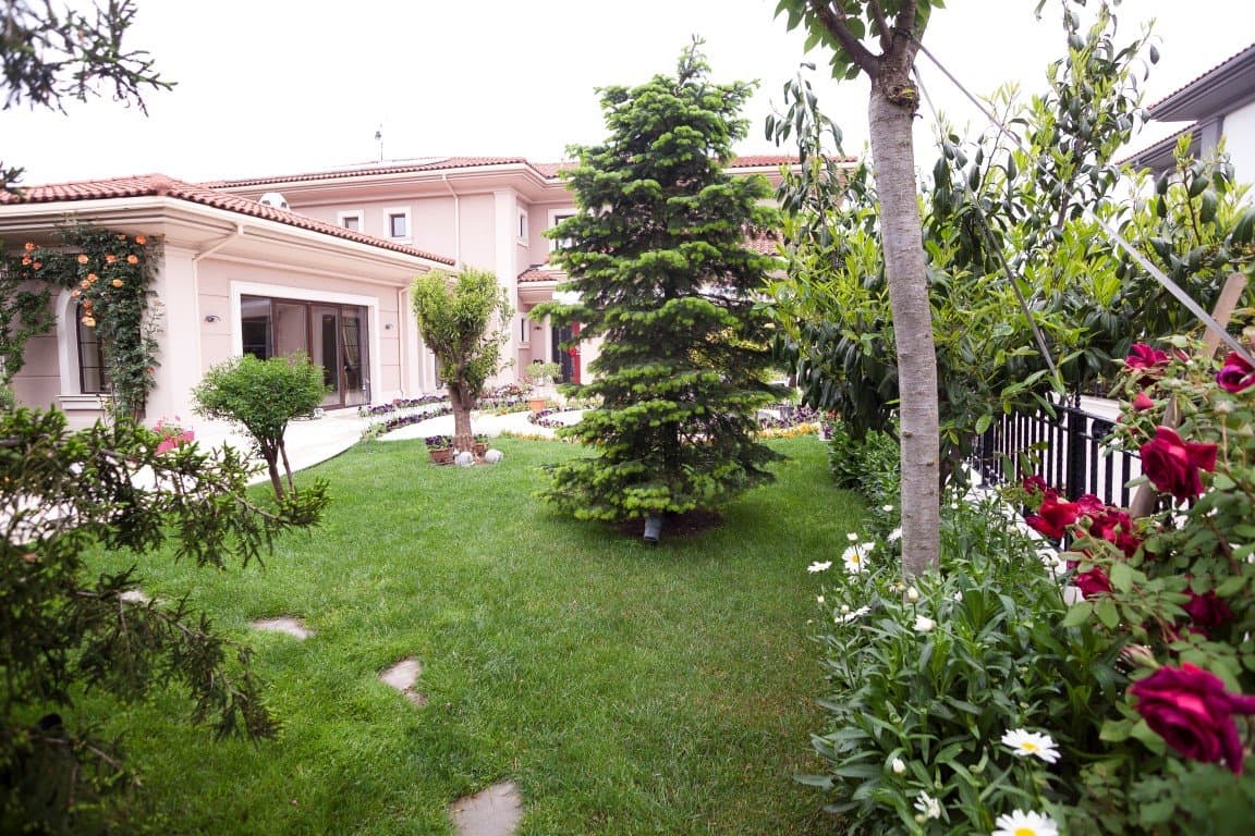 Pelikan Hill Malikane - Görsel 4